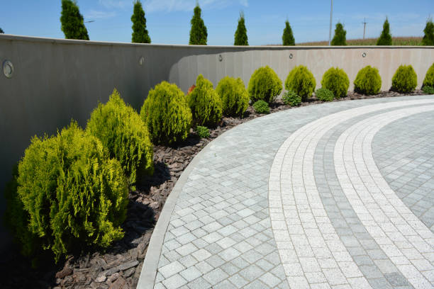 Reasons to Select Us for Your Driveway Paving Requirements in Grizzly Flats, CA